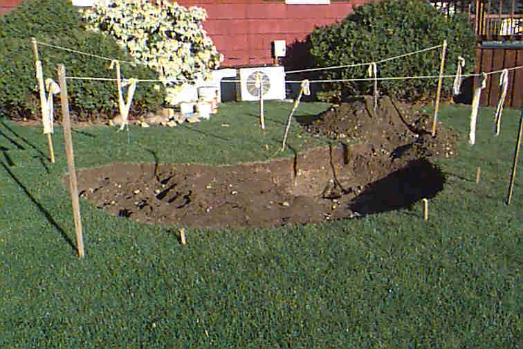 shape.jpg (255407 bytes)